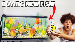 Buying NEW FISH For The 150 Gallon AQUARIUM!