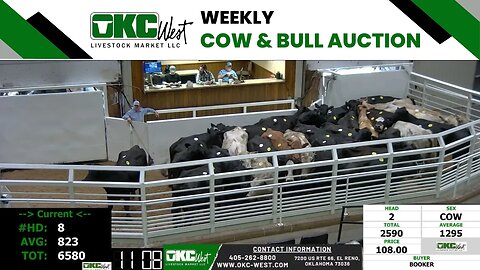 6/5/2023 - OKC West Weekly Cow & Bull Auction