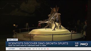 Dinosaurs have growth spurts like humans