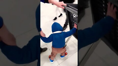 Cute Baby Boy Pushing Shopping Trolley #shorts