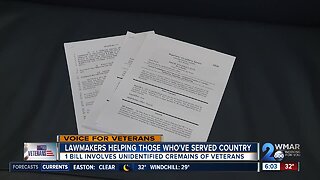 Legislators hear bill involving unidentified cremains of veterans