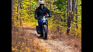 Hermanaba Trail Rippin on the Mini Bike ( Trailmaster Hurricane 200X )