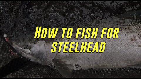 How To Locate, Read Water, and Catch STEELHEAD!