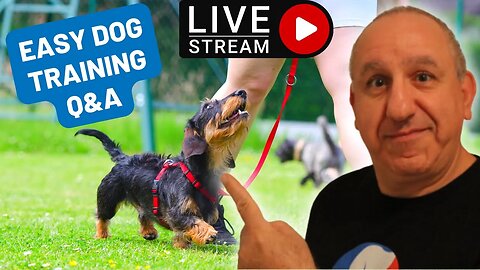 Dog Training Easy Method Explained! Live Q&A Session
