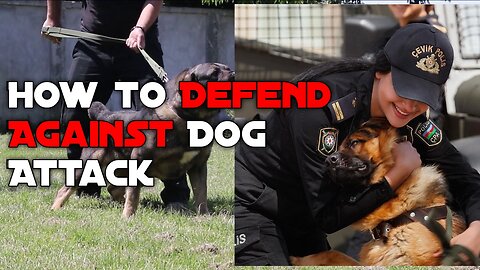 How to Defend Against Dog Attack! Step by step