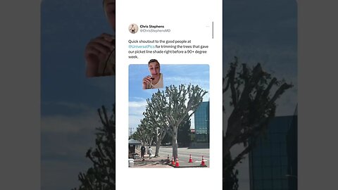 Universal studios illegally trims trees to deny shade to striking workers