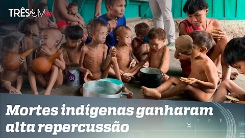 Análise: Crise humanitária de yanomamis é levada a tribunal internacional