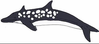 Rhinoceros Dolphin