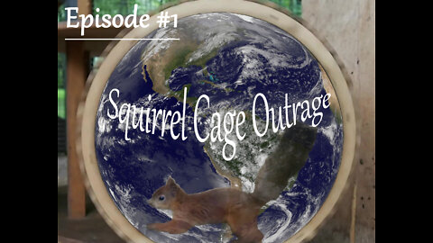 Ep. #1 Squirrel Cage Outrage