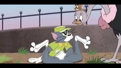 Tom and Jerry funny video || funny moments