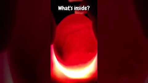 Watch a Baby Chicken inside the Egg - Day 16 #Shorts