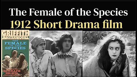 The Female of the Species (1912 Short Drama film)