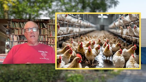 Joel Salatin on the Avian Influenza Outbreak
