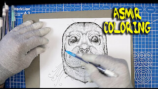 ASMR Seal of Approval Coloring - No Talking