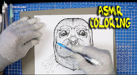 ASMR Seal of Approval Coloring - No Talking