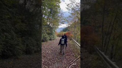 Hiking in Autumn📱 (iPhone 14 Pro Max)