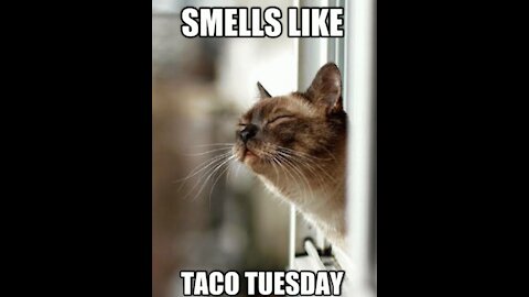 OH,OK! You Don't Say? Taco Tuesday 5/11/21