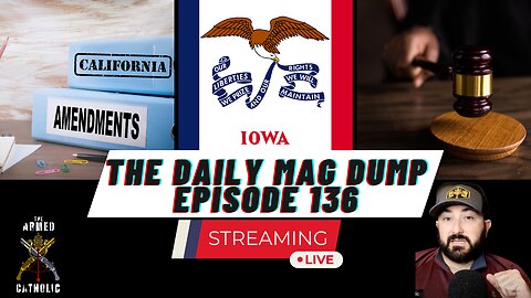 DMD #136-CA Introduce 28th Amendment | Felon Sues For 2A Rights |Ohio Court Upholds Law 8.17.23