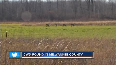 Chronic Wasting Disease found in Milwaukee County
