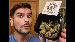 Jack Herer THCA Flower Review - Wildflower Hemp Co.