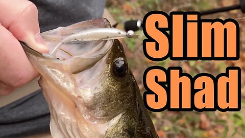 Slim Shad Minnow 2" Paddle Tail Swimbait - Nice Creek Bass Eat At The End!