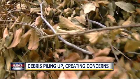 Hurricane Irma debris piling up in Polk County