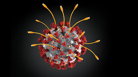 Are Viruses Necessary?
