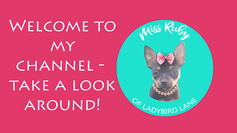 Welcome to the Miss Ruby Show!