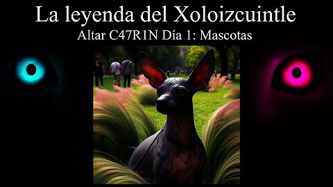 La leyenda del Xoloitzcuintle y razas de perros mexicanas - Día 1 Mascotas - Altar C47R1N
