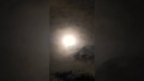 Beware of the Moon: A Haunting Encounter in Hawaii