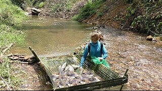 Amazing Fish Trap _ Building Unique Easy Fish Trap System _ Catch a lot of fish from a small stream