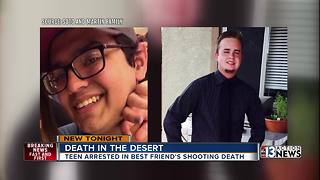 Family: Victim accidentally shot and killed in desert