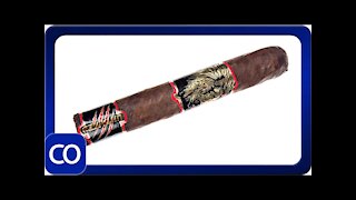 La Aurora Untamed Robusto Cigar Review