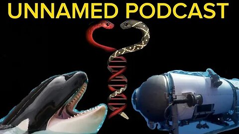 No Name Podcast: Ep.1; Lost Sub, Orcas, and herpes monkeys