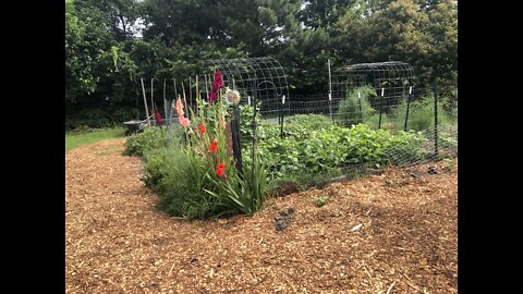 Garden walk through