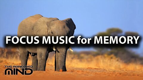 DEEP Focus Music for Study, Concentration, Exam Studying Music for Memory Retention