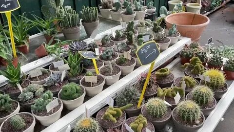 Flower Shops, Paris, France