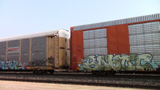 CN 2868, CN 5666 & CN 2598 Manifest Train Eastbound In Ontario