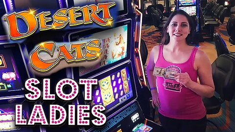 🙀LAST MINUTE WIN! 🙀Melissa Takes on Desert Cats! | Slot Ladies