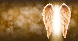 November 8 (Year 3) What does it mean that angels need a testimony? Tiffany Root & Kirk VandeGuchte