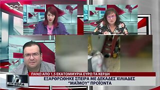 Εξαρθώθηκε σπείρα με δεκάδες χιλιάδες "Μαϊμου" προϊόντα (ΑΡΤ, 10/11/2022)