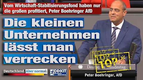 Vom Wirtschaft-Stabilisierungsfond haben nur die großen profitiert, Peter Boehringer AfD