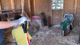 Homestead chores chicken coop Time lapse