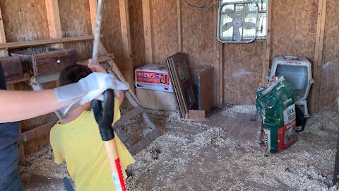 Homestead chores chicken coop Time lapse