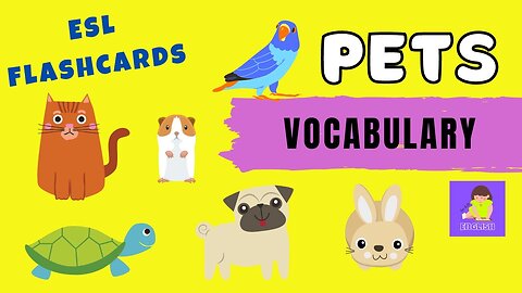 Pets vocabulary animals at home English ESL Lesson