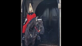 Horse bites him on the back #horseguardsparade