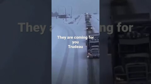 They are coming for you Trudeau #Freedom_Convoy￼_2020 #FreedomConvoy2022