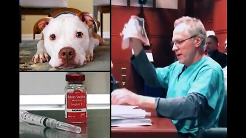 🐕🐈 Veterinarian Dr. John Robb Shreds the Whole Pet Vaccination Program Sham! People Aren't the Only Ones Being Harmed By Vaccines..