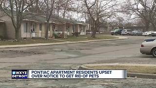 Pet owners in Pontiac suddenly told 'no animals are allowed on the property.'