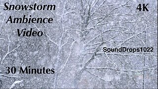 Half-Hour Frosty Retreat: 30 Minutes Snow Ambience